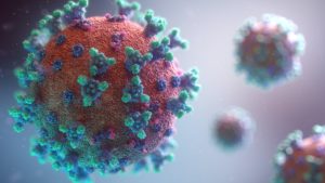 Image of the coronavirus